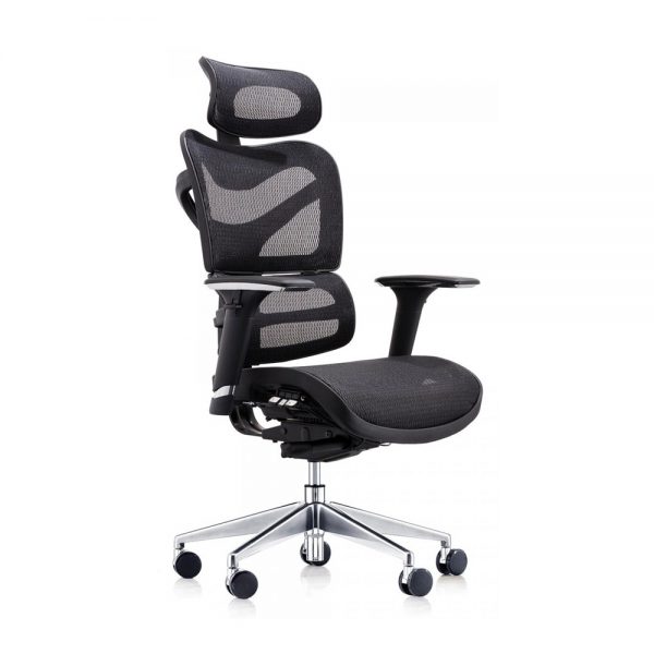 Dorsum-High-Back-Ergonomic-Mesh-Chair-with-Extra-Wide-Headrest