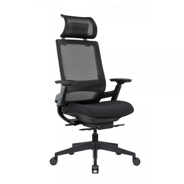 TENMC-Ergonomic-Mesh-Task-Chair-with-Sliding-Seat-and-Adjustable-Lumber-Support-and-Headrest